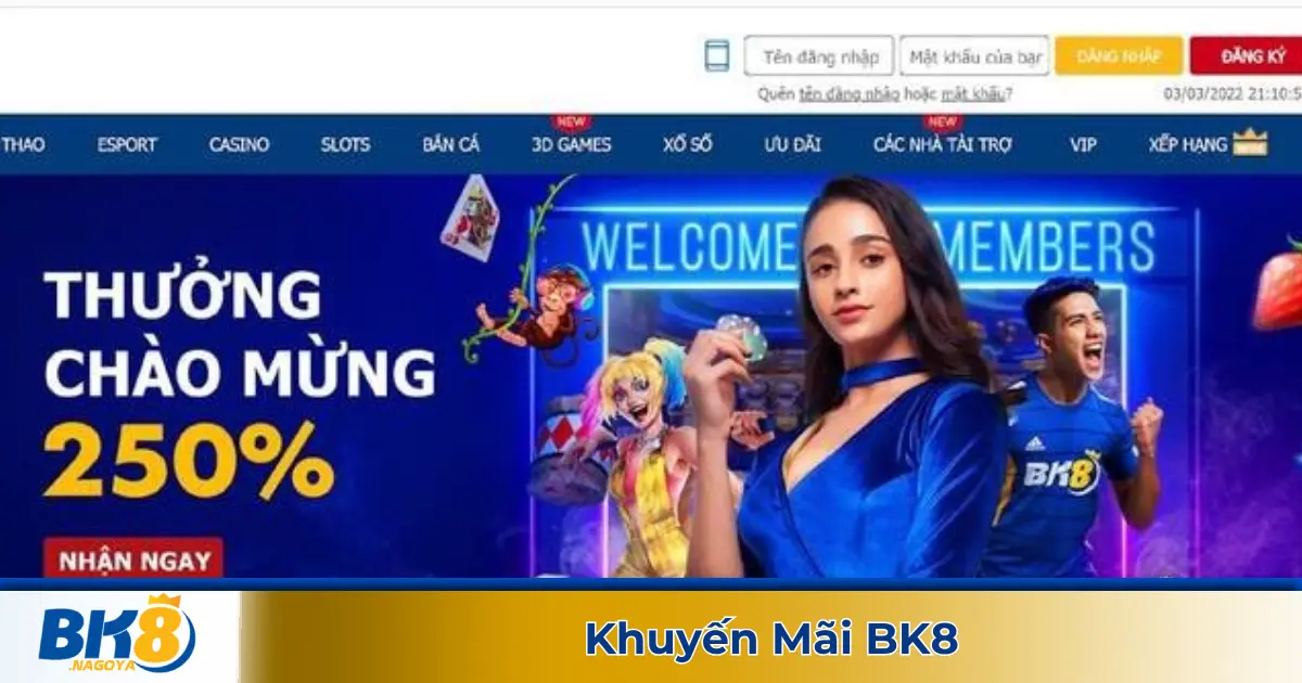 Khuyến Mãi BK8 – Tổng Hợp Ưu Đãi Hot Nhất Cho Thành Viên Mới & Cũ 1 Các Chương Trình Khuyến Mãi Hàng Đầu Dành Cho Người Chơi