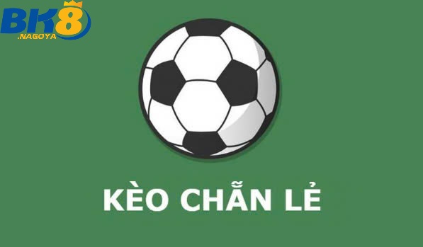 Nghiên cứu kỹ hơn về loại hình kèo chẵn lẻ